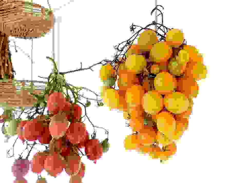 Piennolo är tomater som kan långtidslagras hängande, kallas även för evighetstomater.
