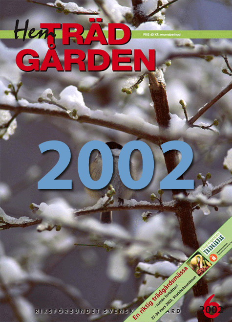 Index2002